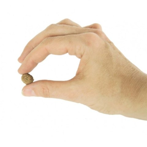 sucha karma dla psa z dziczyzną sucha karma dla psa z dziczyzną