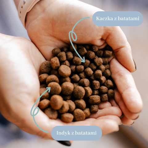 Indyk z batatami 3 kg średnie i duże rasy sucha karma dla psa Indyk z batatami 3 kg średnie i duże rasy sucha karma dla psa