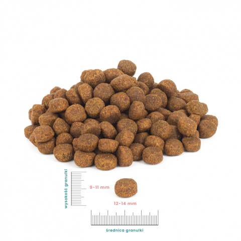 Indyk z batatami 3 kg średnie i duże rasy sucha karma dla psa Indyk z batatami 3 kg średnie i duże rasy sucha karma dla psa
