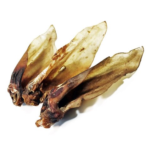 KOLI POLECA Ucho sarny przysmak dla psa gryzaki naturalne KOLI POLECA Ucho sarny przysmak dla psa gryzaki naturalne